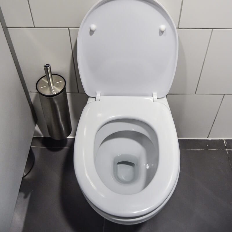 Toilet Repairs